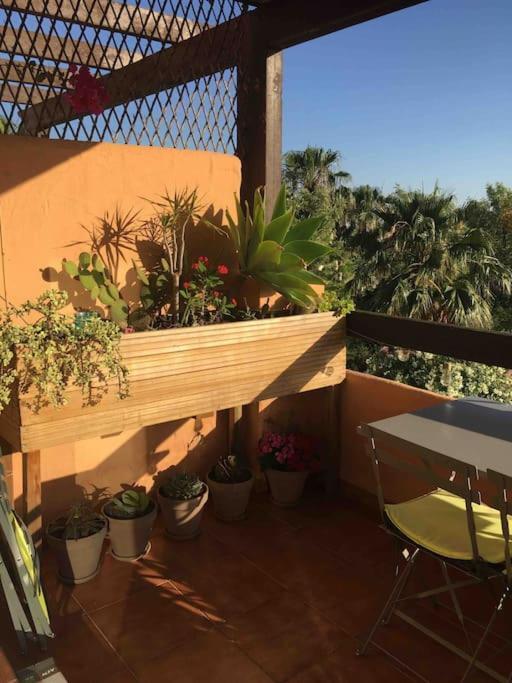 Superbe Appartement Avec Piscine A 800M De La Mer Bahia de Casares Extérieur photo